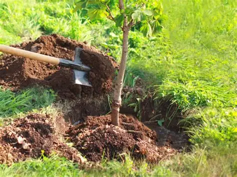 Environnement